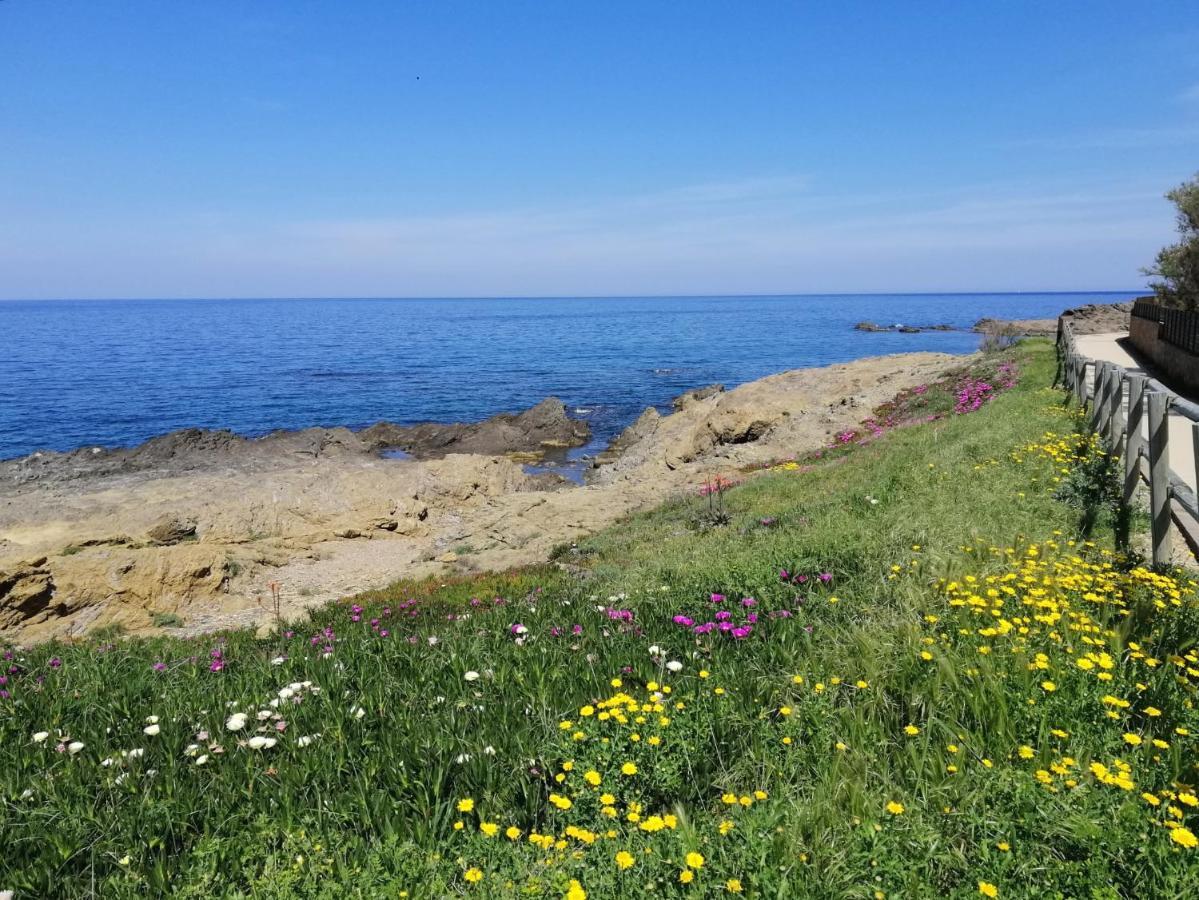 فيلا Casa Platja D'En Robert El Port De La Selva المظهر الخارجي الصورة